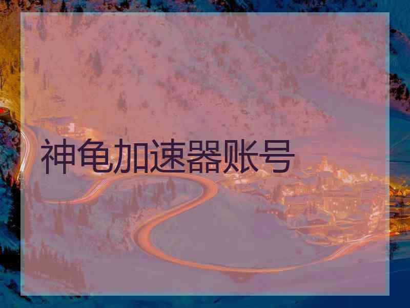 神龟加速器账号