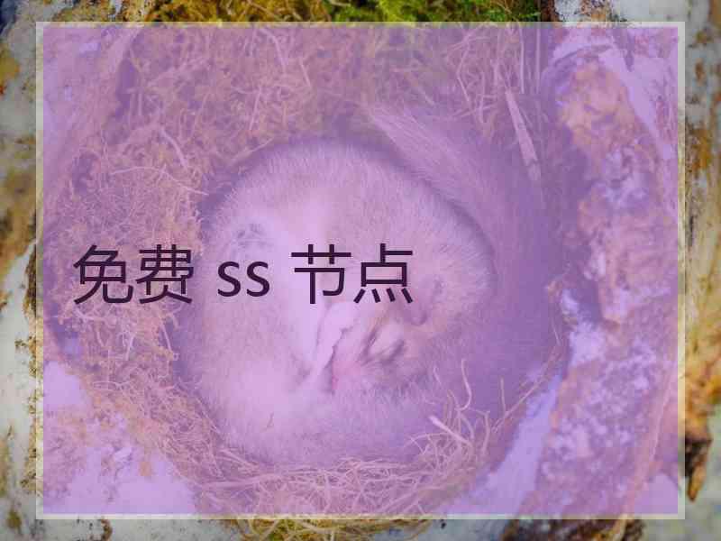 免费 ss 节点
