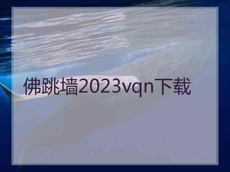 佛跳墙2023vqn下载