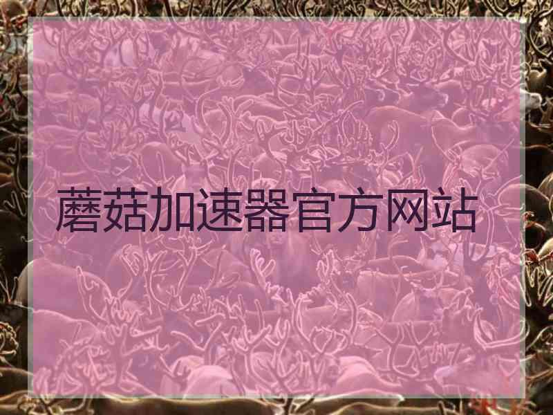 蘑菇加速器官方网站