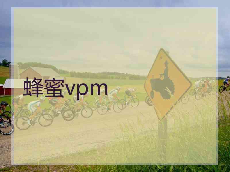 蜂蜜vpm