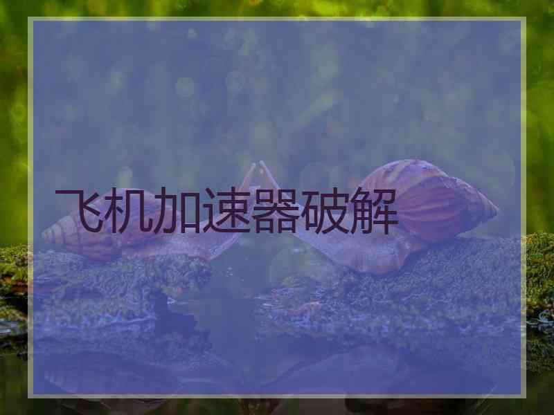 飞机加速器破解