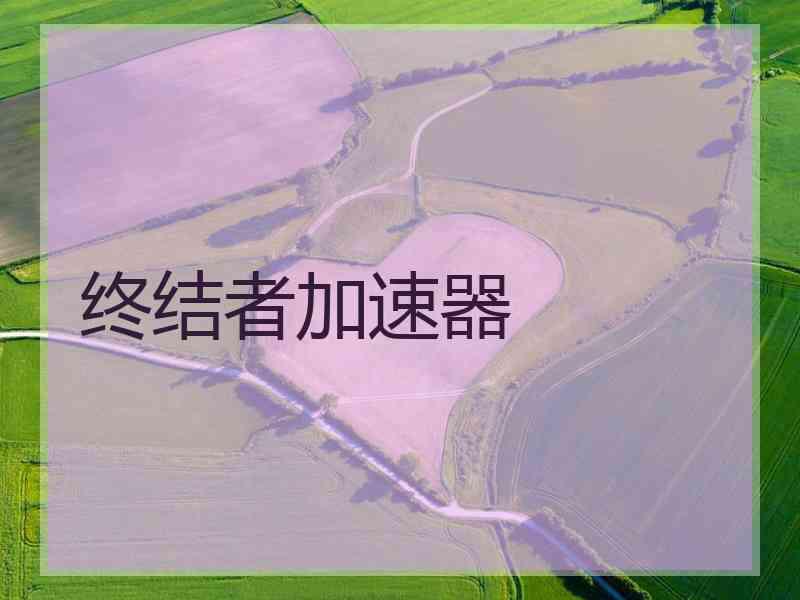 终结者加速器