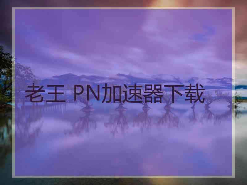 老王 PN加速器下载