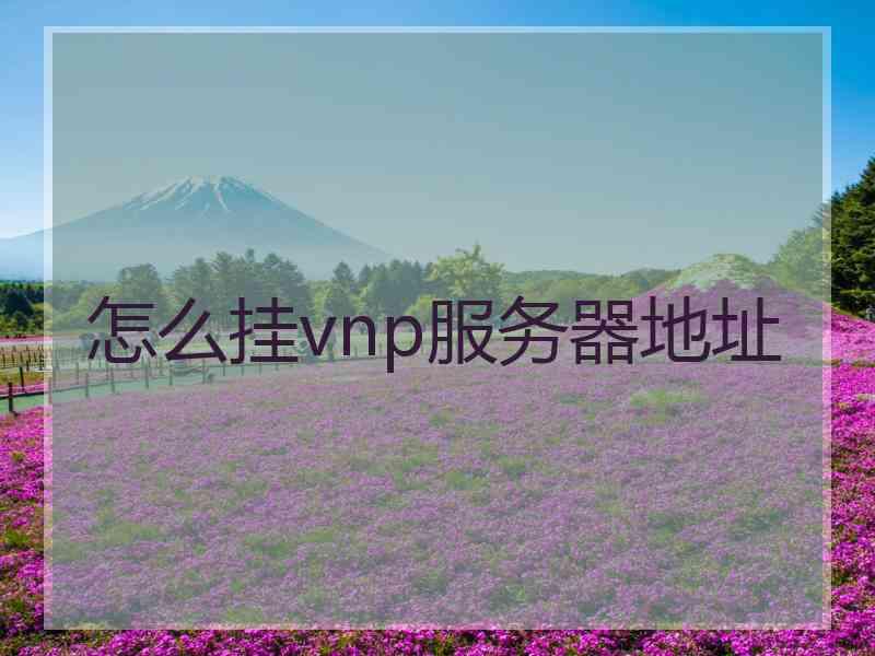 怎么挂vnp服务器地址