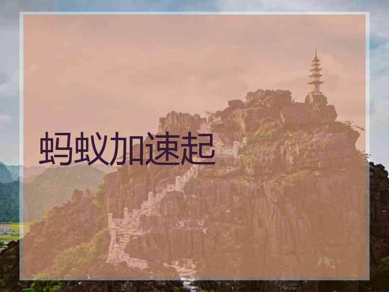 蚂蚁加速起