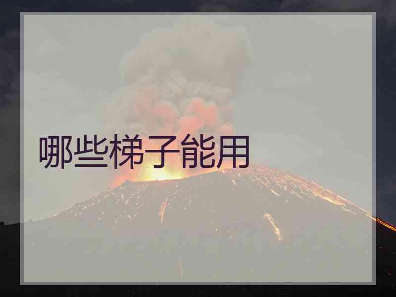哪些梯子能用