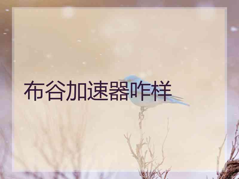 布谷加速器咋样