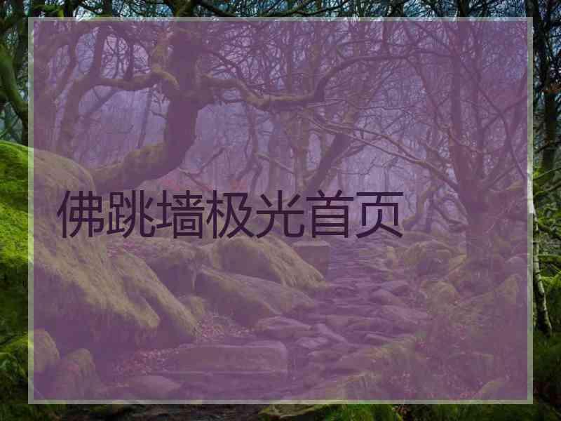 佛跳墙极光首页