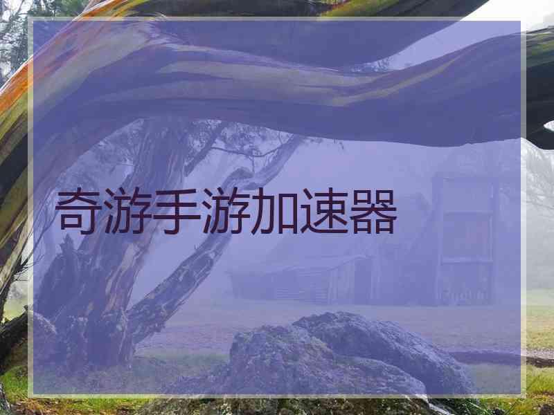 奇游手游加速器