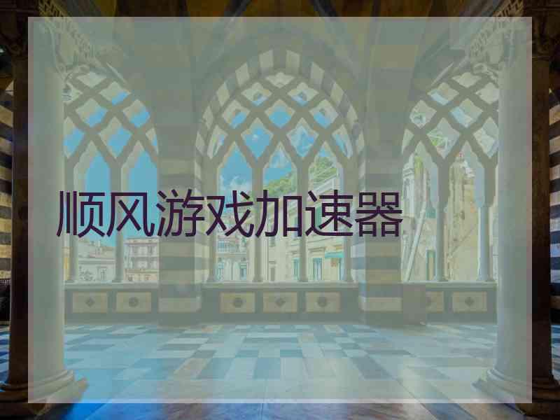 顺风游戏加速器