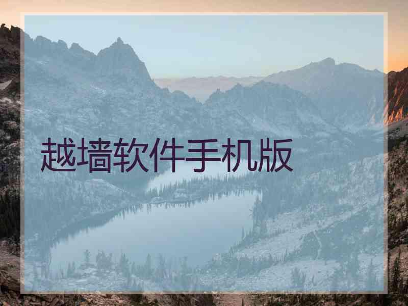 越墙软件手机版