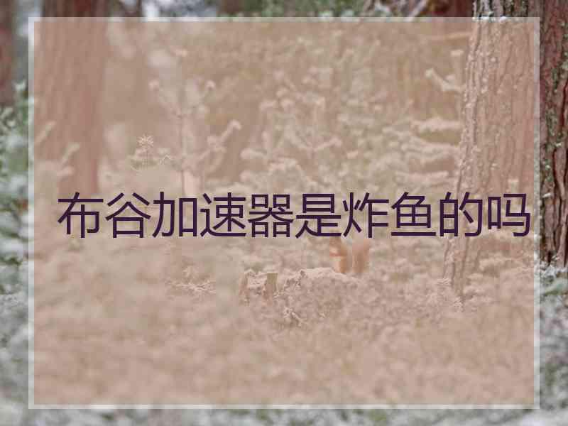 布谷加速器是炸鱼的吗