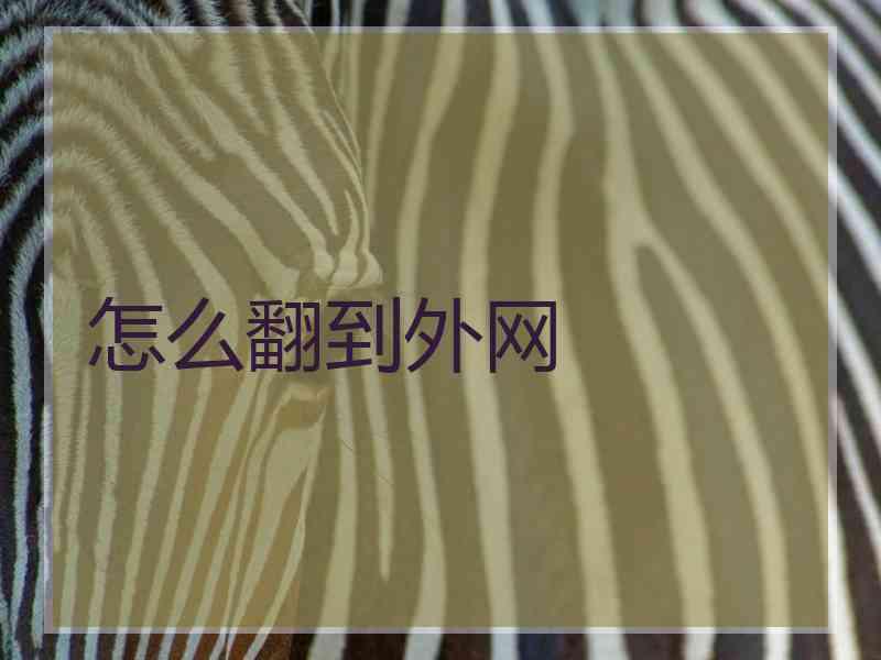 怎么翻到外网
