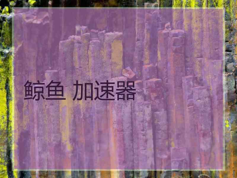 鲸鱼 加速器