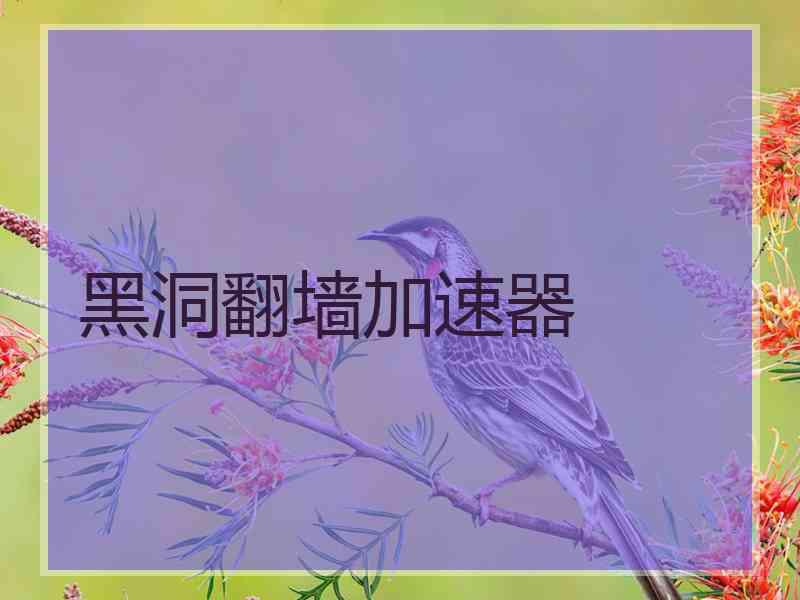 黑洞翻墙加速器
