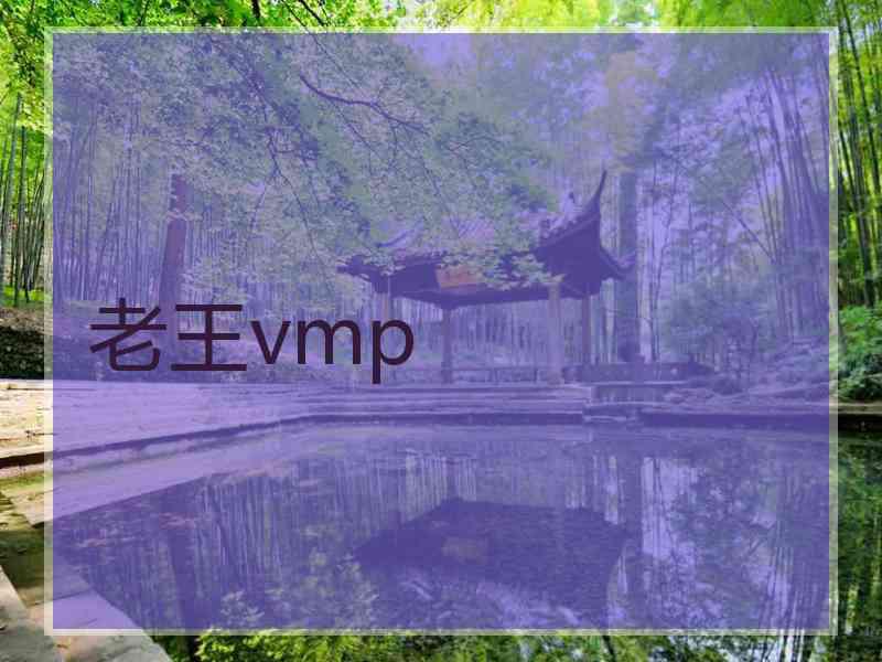 老王vmp