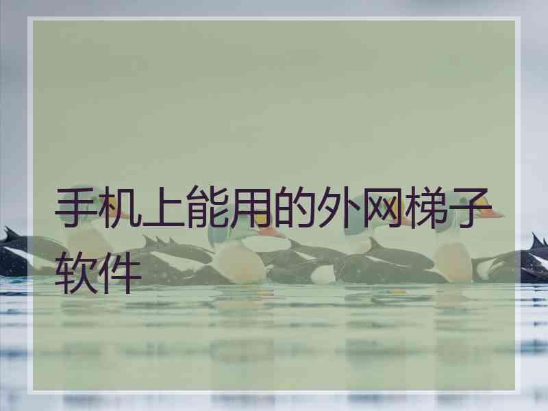 手机上能用的外网梯子软件