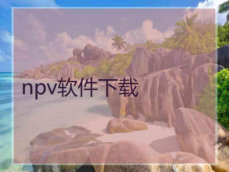 npv软件下载