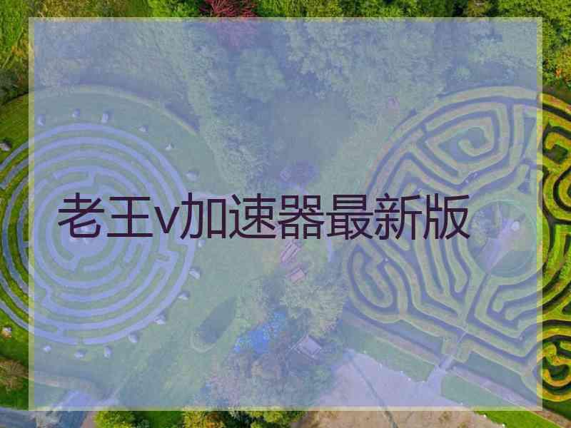 老王v加速器最新版