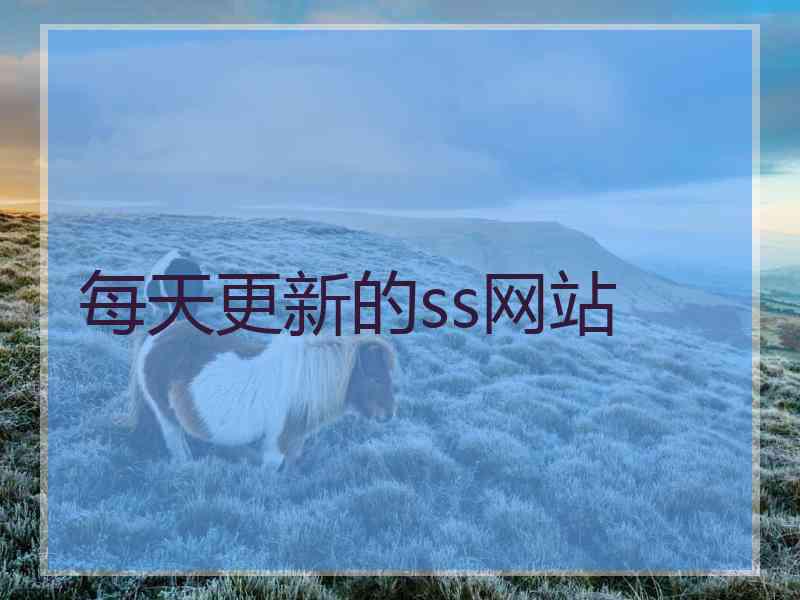 每天更新的ss网站