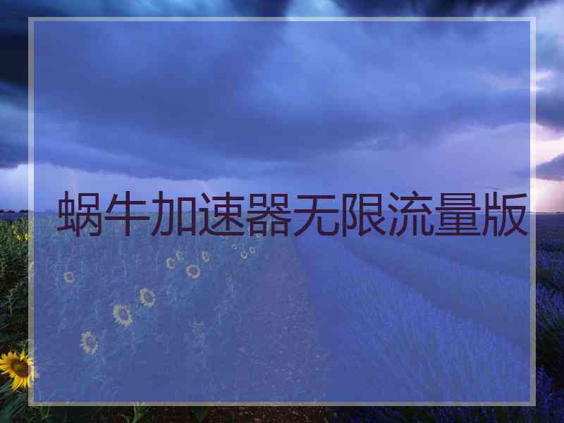 蜗牛加速器无限流量版