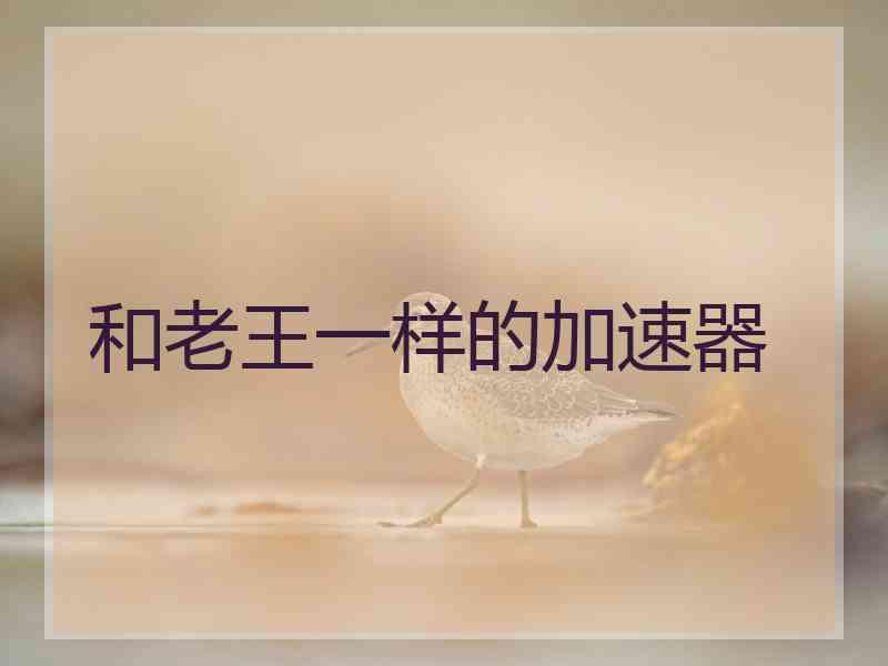 和老王一样的加速器