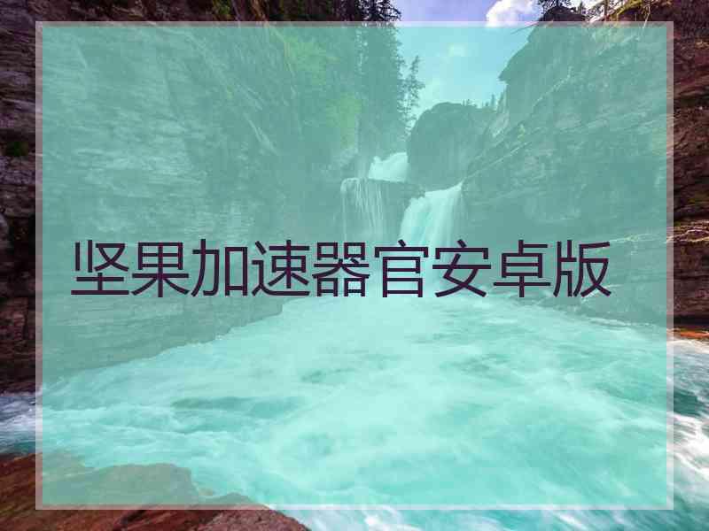 坚果加速器官安卓版