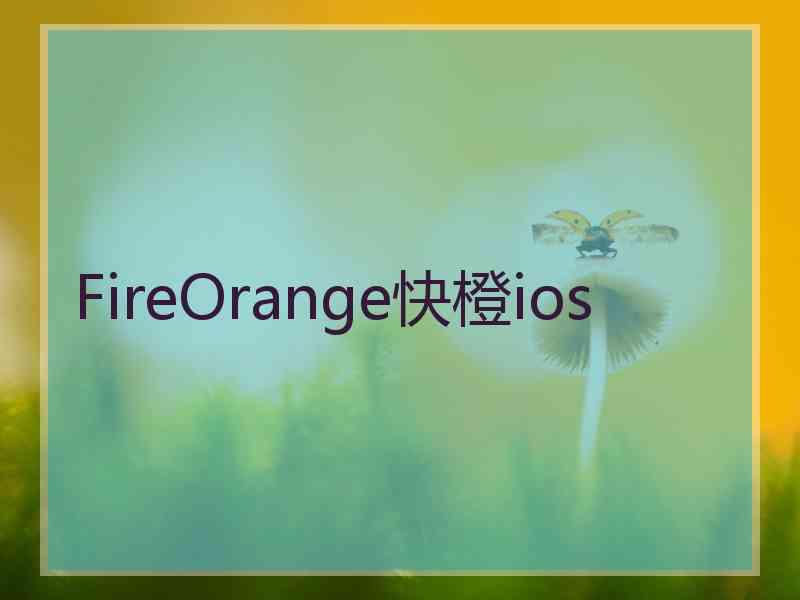 FireOrange快橙ios