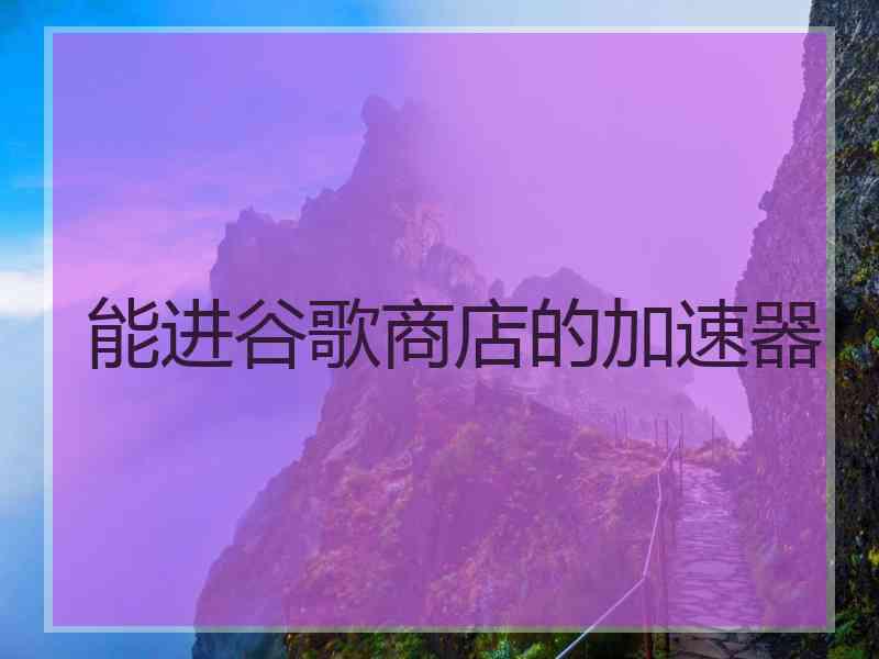 能进谷歌商店的加速器