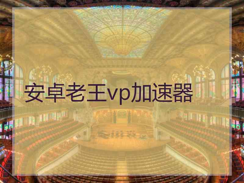 安卓老王vp加速器