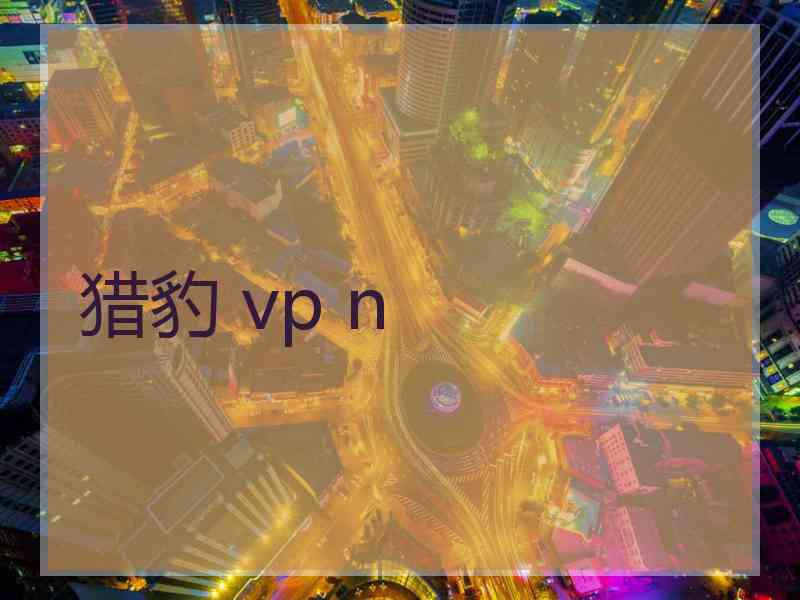 猎豹 vp n