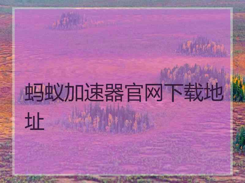 蚂蚁加速器官网下载地址