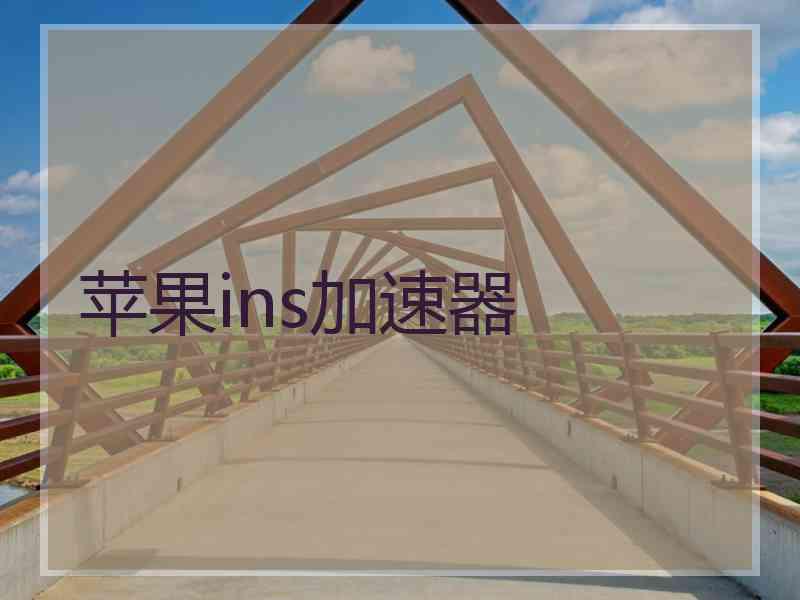 苹果ins加速器