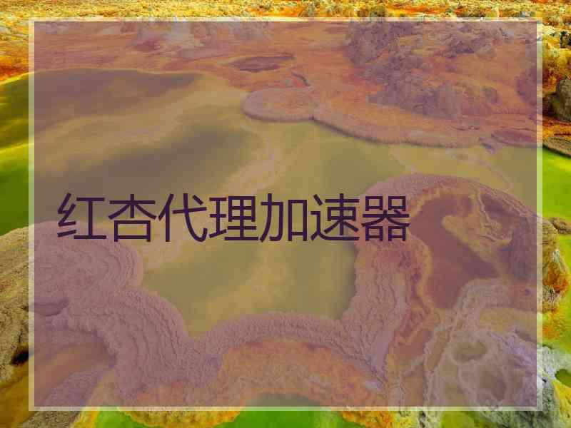 红杏代理加速器