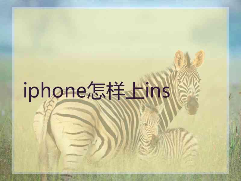 iphone怎样上ins