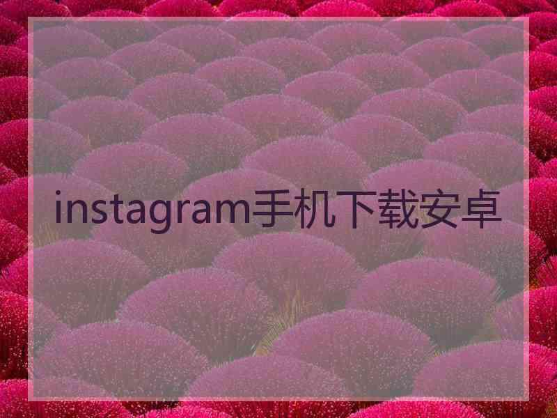instagram手机下载安卓