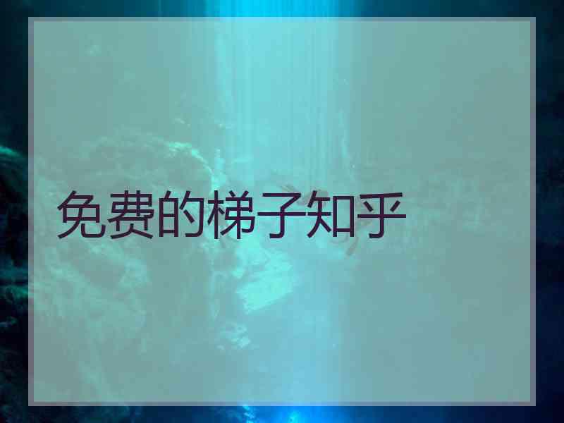免费的梯子知乎