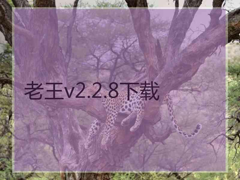 老王v2.2.8下载