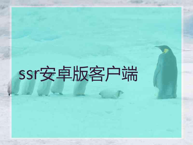 ssr安卓版客户端