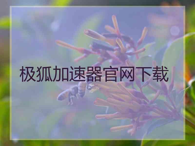 极狐加速器官网下载