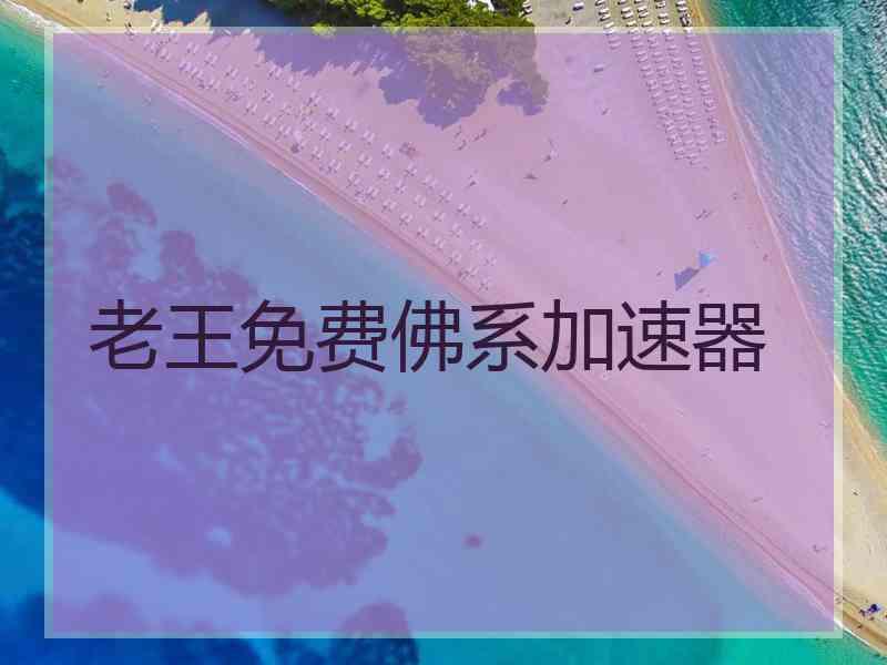 老王免费佛系加速器