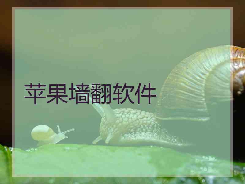 苹果墙翻软件