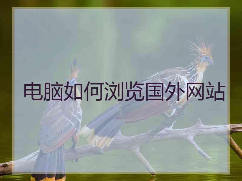 电脑如何浏览国外网站