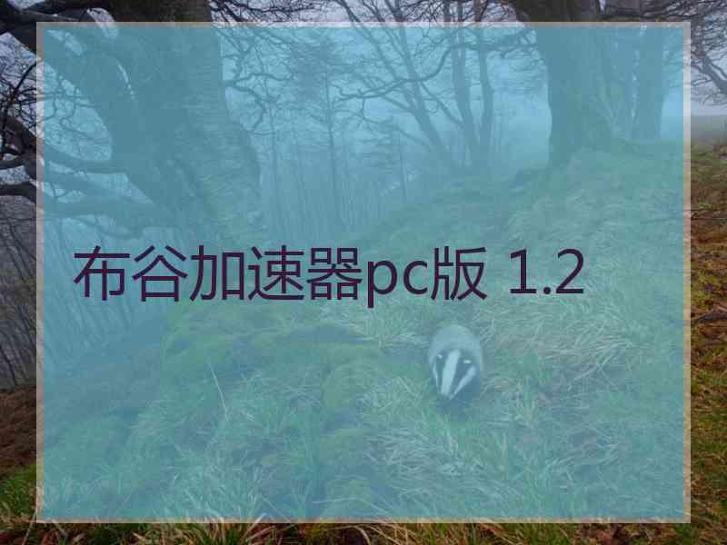 布谷加速器pc版 1.2