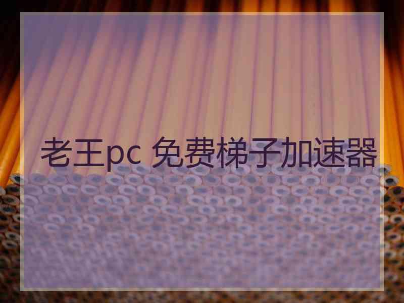 老王pc 免费梯子加速器