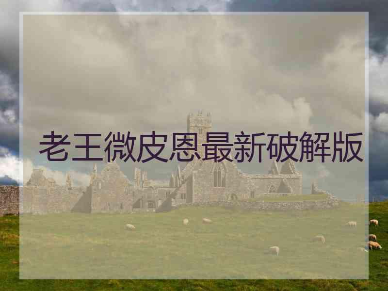 老王微皮恩最新破解版