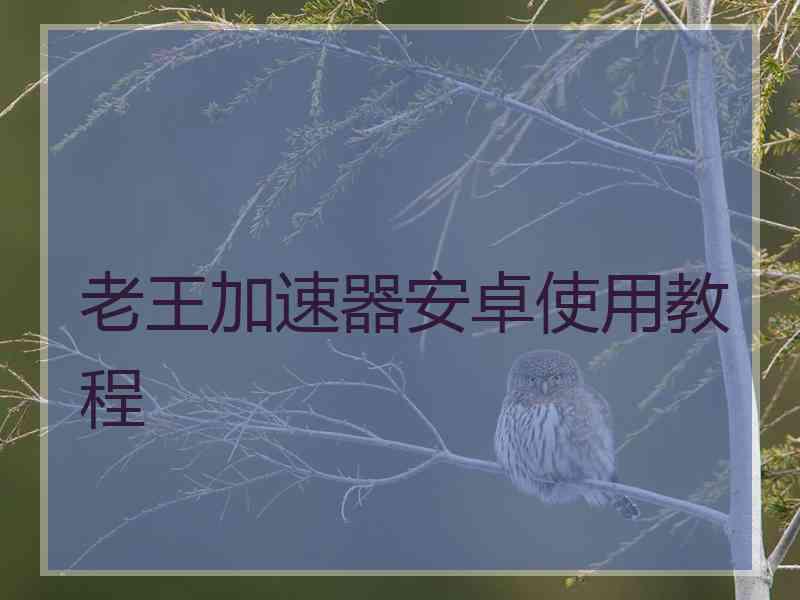 老王加速器安卓使用教程