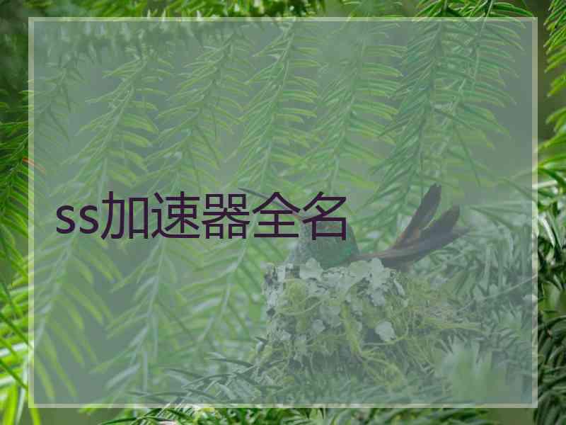 ss加速器全名
