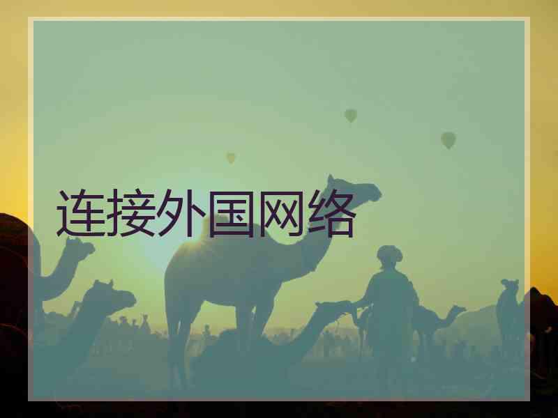 连接外国网络